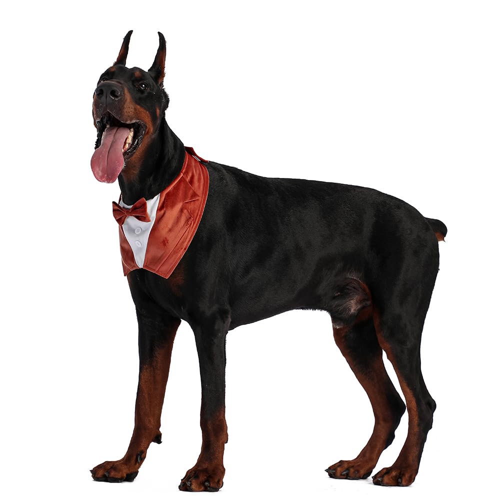 Dog Tuxedo For Wedding Engagement And Birthday, Halloween Formal Suit Tux Bandana Costume With Orange Bow Tie And Adjustable Buc