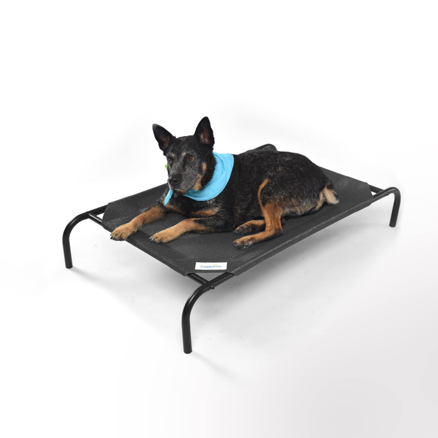 Coolaroo The Original Cooling Elevated Dog Bed, Indoor And Outdoor, Medium, Gunmetal