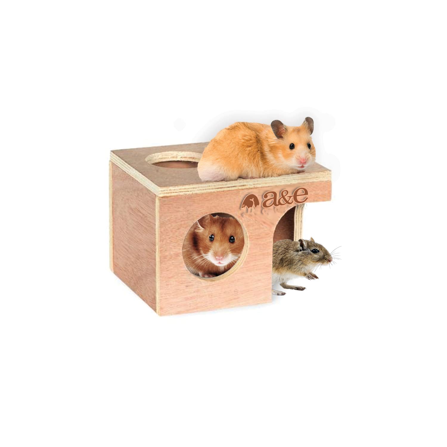 A&E Cage Company 52400900: Animal Hut Hampster/Gerbil Md