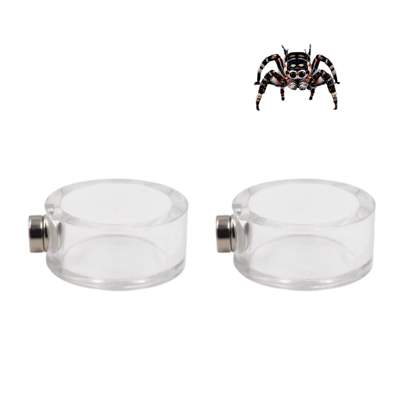 2 Pack Jumping Spider Enclosure Accessories, Leak-Proof Jumping Spider Feeding Dish With Magnet, Acrylic Water Bowl For Jumping 