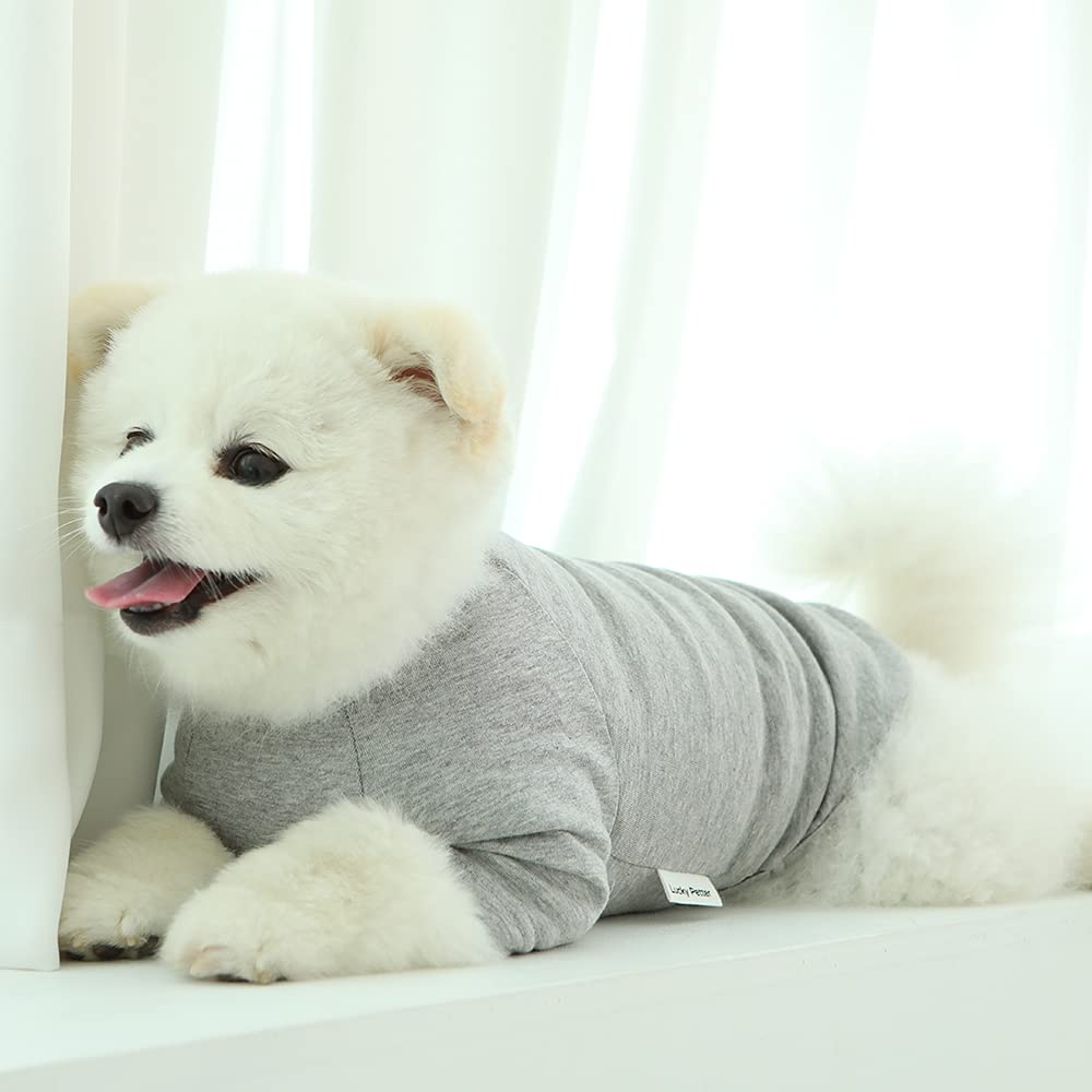 Lucky Petter Dog Shirt For Small Dogs Plain T-Shirts Soft Breathable Dog Cotton Shirt Pet Clothes (Large, Gray)