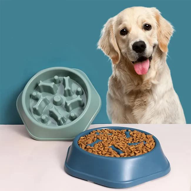 Pups&Pets Pets Training Bowl Feeder Dish | NonToxic Slow Food Feed Bowl | Anti Choking Eating Design Bowl Cats And Dogs  1Pcs