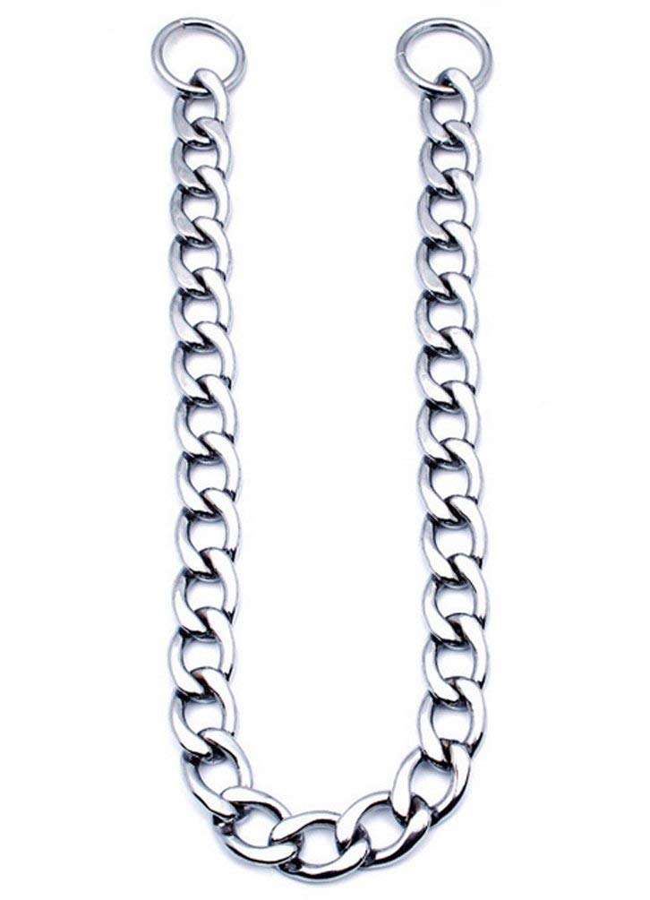 Sgoda Chain Dog Training Choke Collar, 22 In, 3.0 Mm