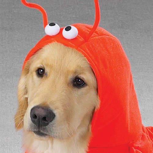 Casual Canine Lobster Paws Dog Costume, Xx-Large (Fits Lengths Up To 30'), Red-Orange