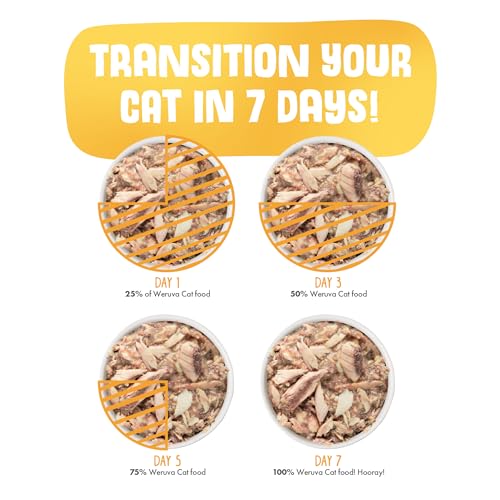 Weruva Wet Cat Food, Pumpkin Patch Pack Variety Pack, 3oz Can (Pack of 12)