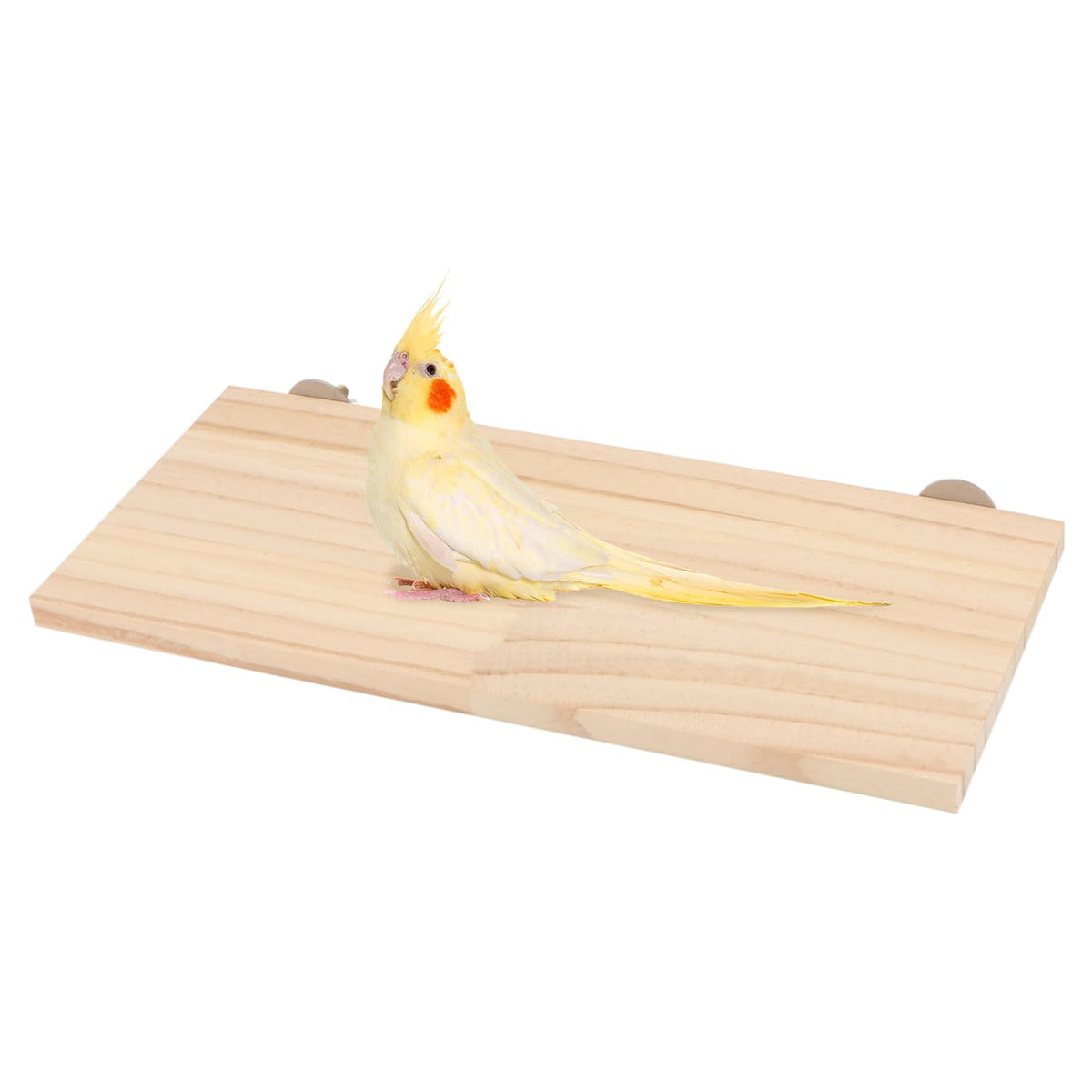 Wontee Bird Perch Stand Wooden Platform For Cockatiels Conures Rats Gerbils Chinchillas Squirrels (M)