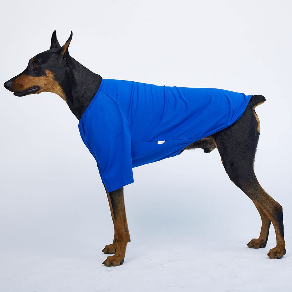 Lucky Petter Dog Shirt For Small Dogs Plain T-Shirts Soft Breathable Dog Cotton Shirt Pet Clothes (3X-Large, Blue)