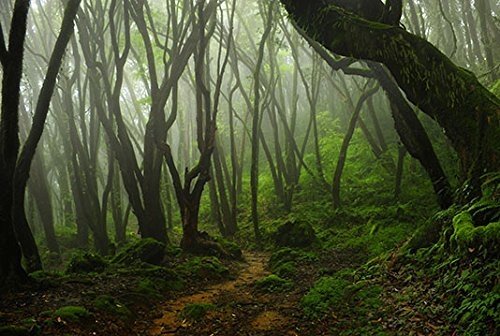 Bannersnstands Reptile Habitat, Terrarium Background, Creepy Mossy Forest Various Sizes (12X12)