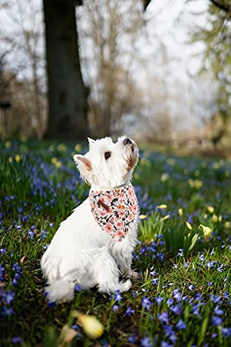 Elegant Little Tail Dog Bandanas - 1Pack Floral Print Washable Dog Scarf Female Square Dog Bib Kerchief Scarf Adjustable Pet Bandana For Small Medium Dogs