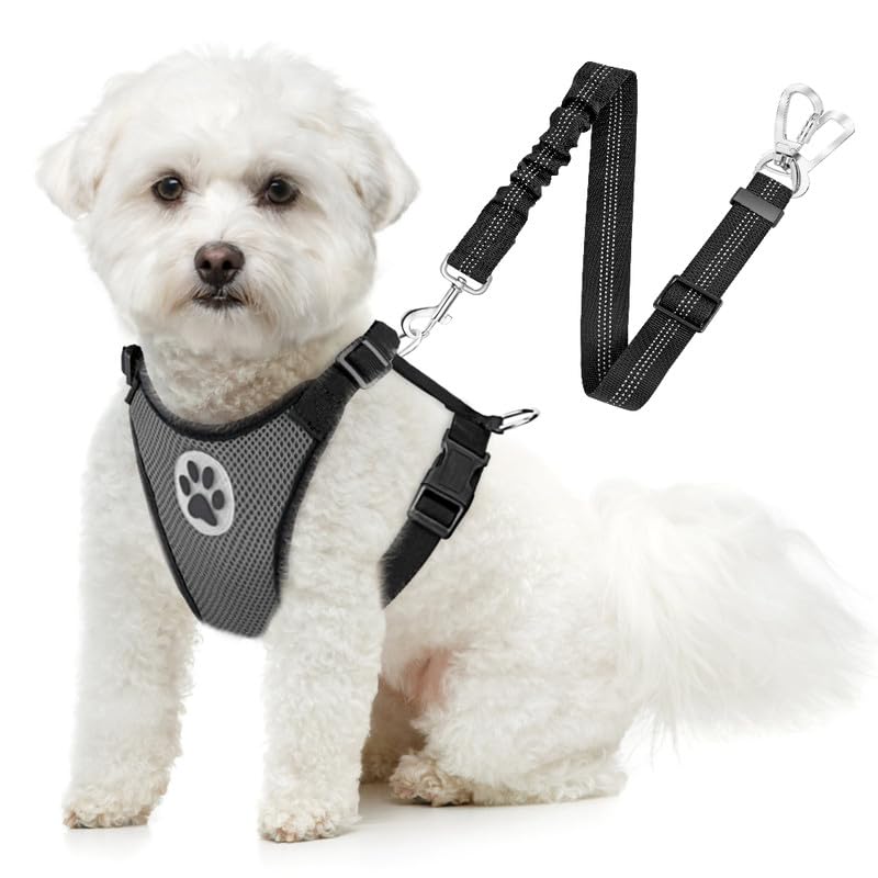 Slowton Dog Seat Belt Harness For Car, Dog Car Harness Adjustable Mesh Breathable & Dog Seatbelt Safety Tether With Elastic Bungee For Small Medium Large Pets(Grey, Double Clip, Xxxs)
