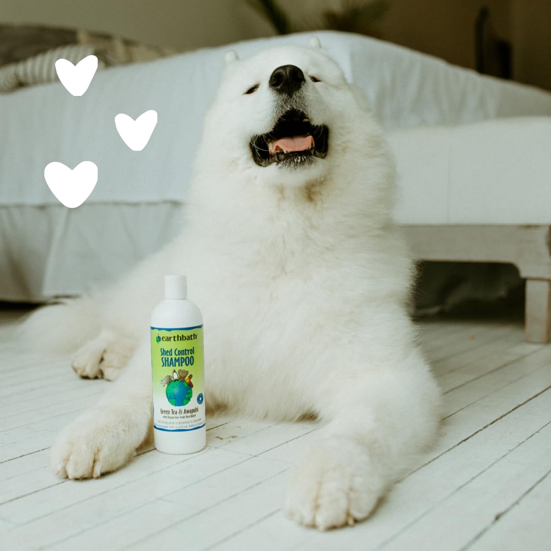 Earthbath Green Tea & Awapuhi Pet Shed Control Shampoo - Helps Relieve Shedding & Dander Aloe Vera Shea Butter Good For Dogs & C