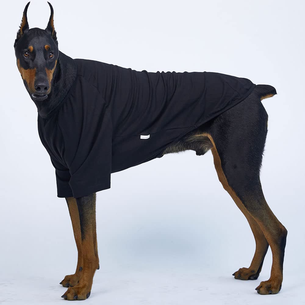 Lucky Petter Dog Shirt For Small Dogs Plain T-Shirts Soft Breathable Dog Cotton Shirt Pet Clothes (4X-Large, Black)