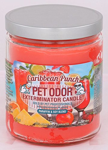 Specialty Pet Products Caribbean Punch Pet Odor Exterminator 13 Ounce Jar Candle