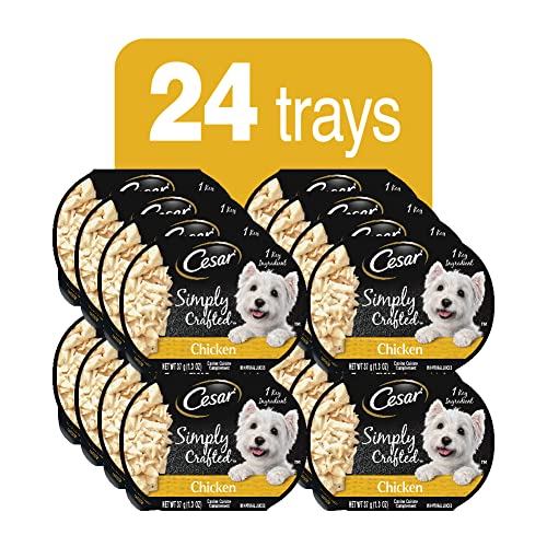 Cesar Simply Crafted Adult Wet Dog Food Toppers for Dry Food, Chicken, 1.3 oz Tubs, 24 Count
