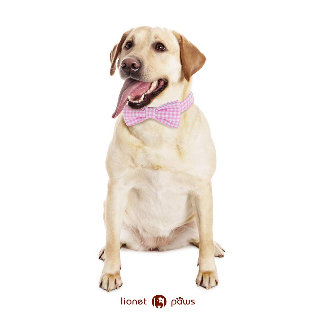 Lionet Paws Dog Collar With Bowtie, Comfortable Adjustable Cute Pink Gingham Bow Tie Collar For Female Dogs Gift, Small, Neck 10-16 Inches