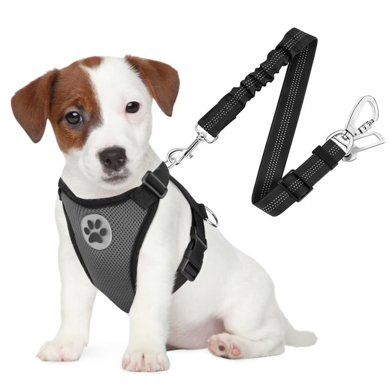 Slowton Dog Seat Belt Harness For Car, Dog Car Harness Adjustable Mesh Breathable & Dog Seatbelt Safety Tether With Elastic Bungee For Small Medium Large Pets(Grey, Double Clip, S)