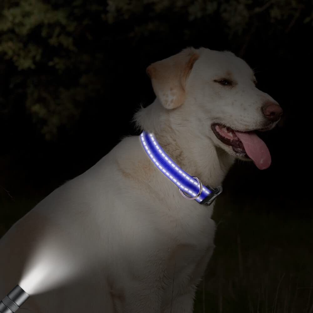Taglory Reflective Adjustable Dog Collars For Puppy Small Medium Large Dogs, Thin Nylon Webbing And Quick Release Plastic Buckle(Royal Blue,Large)