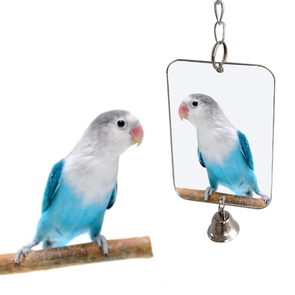 Bird Mirror With Bell,Parrot Cage Toys,Pet Bird Acrylic Mirror With Mirror For Greys Parakeet Cockatoo Cockatiel Conure Lovebird