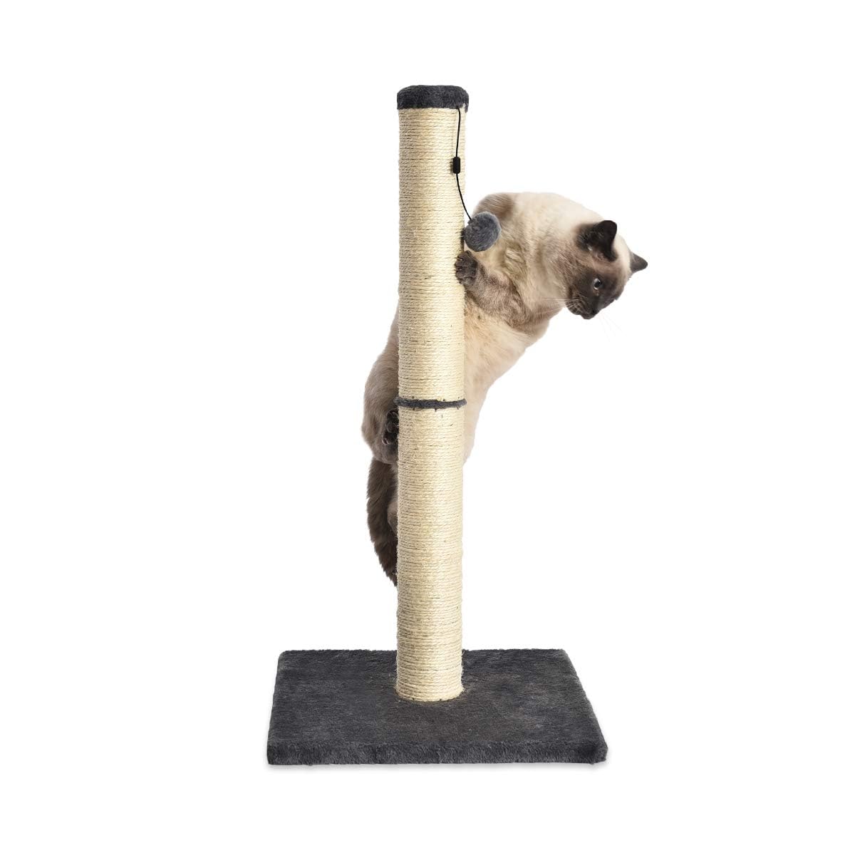 Amazon Basics Medium Cat Scratching Post - 31.5 H, Grey, Durable Design for Cats, Perfect for Scratching and Claw Maintenance