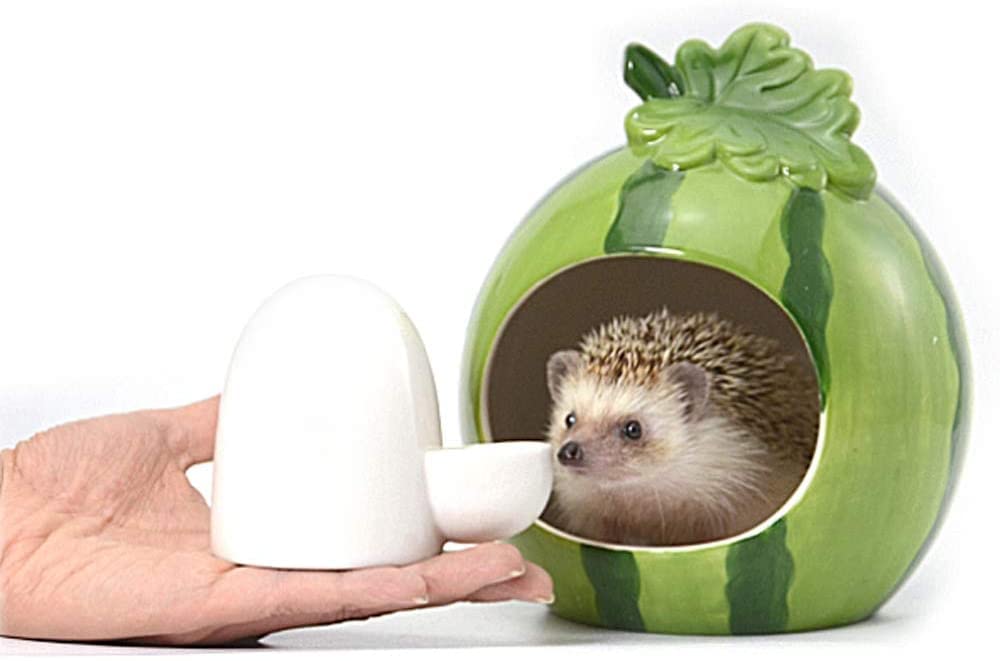 Dahey Drinking Water Feeder Ceramics Slient Bottle Waterer Automatic Small Pets For Hamster Hedgehog Chinchilla Ferret Small Guinea Pig, White, 8Oz