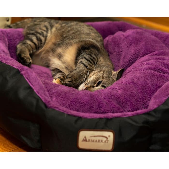 Armarkat Large, Soft Cat Bed - C101NH/ZH, Mulberry/Black (C101HNH/ZH)