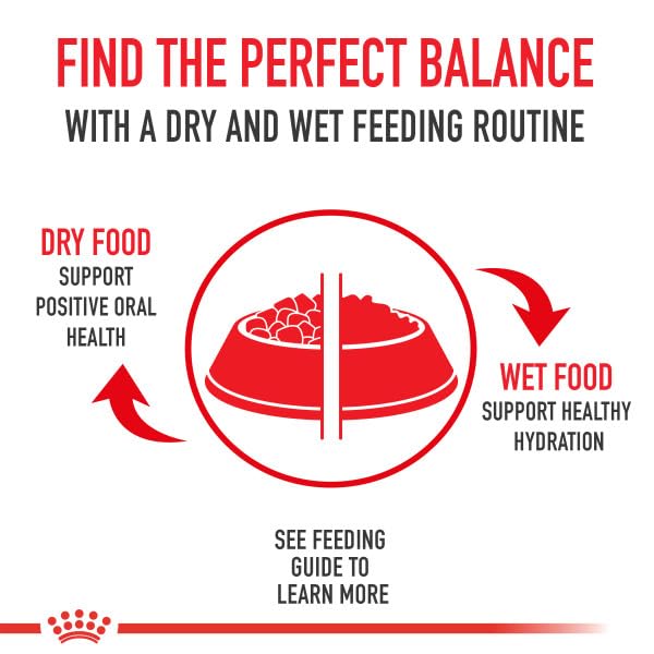 Royal Canin Miniature Schnauzer Adult Breed Specific Dry Dog Food, 10 lb Bag