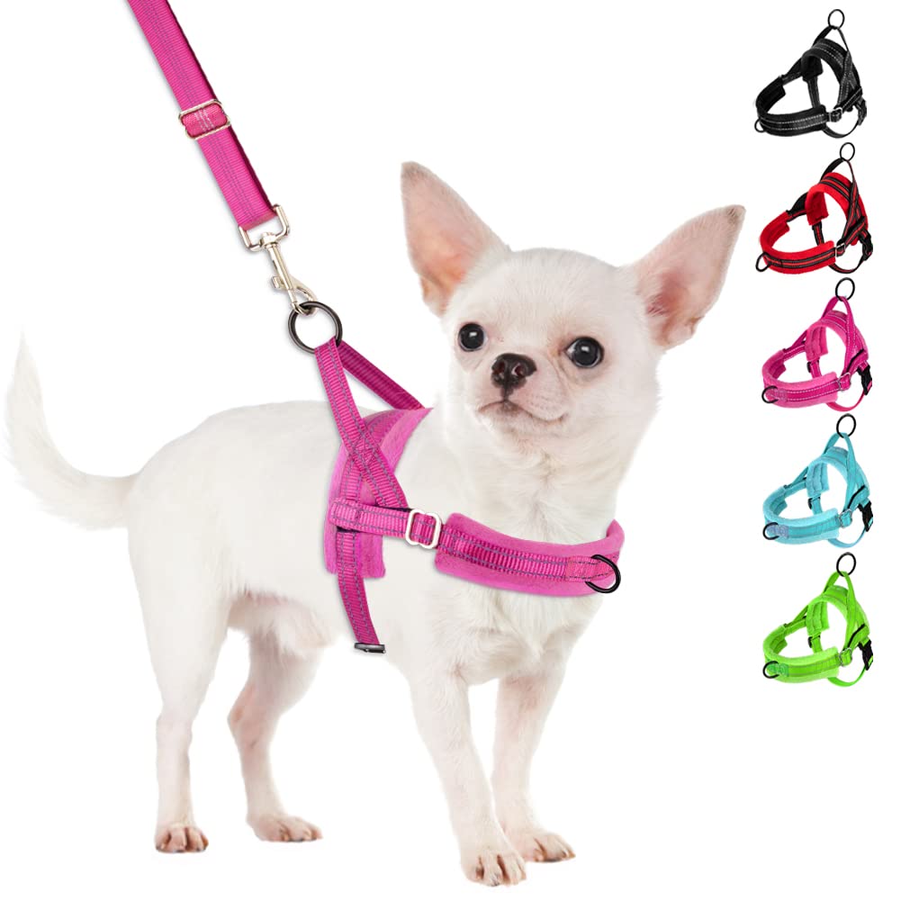 Slowton No Pull Small Dog Harness And Leash Set, Puppy Soft Vest Harness Neck & Chest Adjustable, Reflective Lightweight Harness & Anti-Twist Pet Lead Combo For Small Medium Dogs (Fu-Front Clip, Xxs)