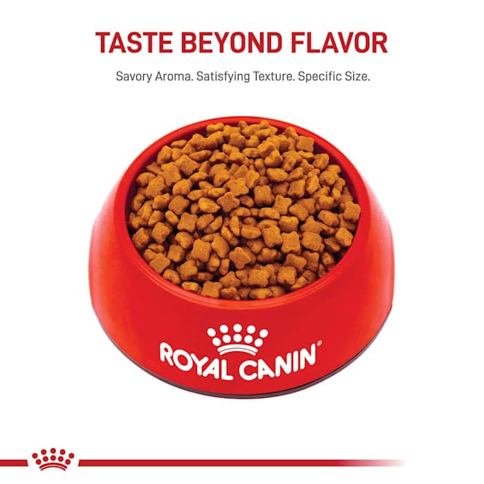 Royal Canin Feline Health Nutrition Dry Kitten Food, Supports Digestive Health, Immune Support and Healthy Energy, 14 lb Bag