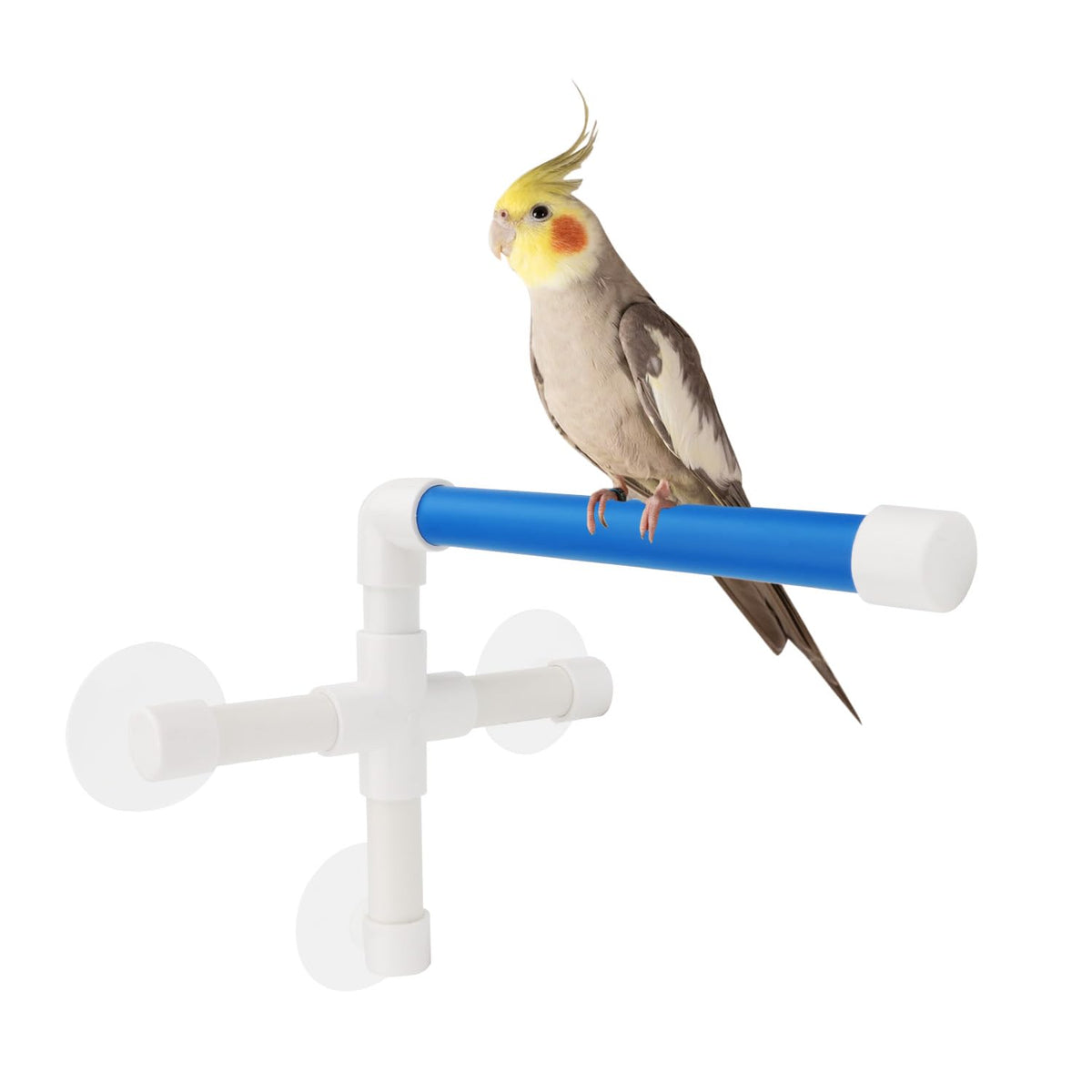 Hypeety Pet Parrot Bath Perches Bird Shower Perch Standing Platform Parrot Shower Perch Rack Suction Cup Window Shower Bird Bath