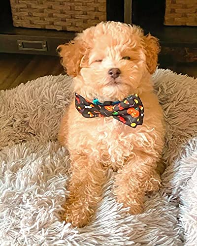 Huxley & Kent Bow Tie For Pets | Trick Or Treat (Large) | Halloween Bow Tie Collar Attachment | Fun Bow Ties For Dogs & Cats | Cute, Comfortable, And Durable | H&K Bow Tie