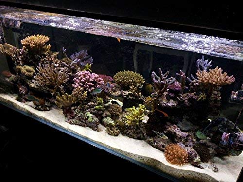 Kzkr Led Aquarium Hood Lighting 72-78 Inch Fish Tank Light Lamp For Freshwater Marine Saltwater Blue And White Decorations Light