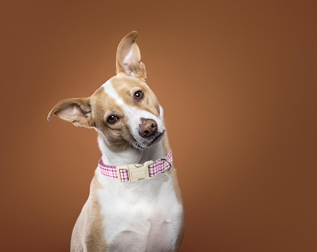 Dogwong Cotton Dog Collar - Spring Summer Soft Natural Fabric Pet Collar Cute Wedding Puppy Necklace For Small To Large Dogs