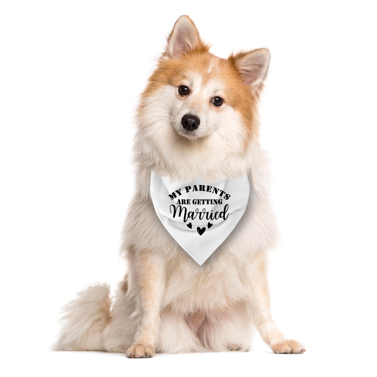 White Dog Bandana, My Parents Are Getting Married Wedding Announcement Dog Bandana, Pet Triangle Scarf Accessories, Dogs Bandana
