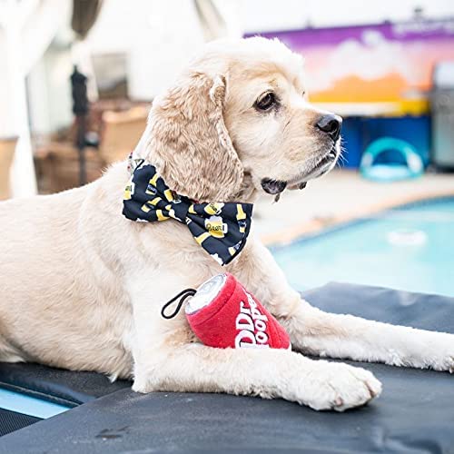 H&K For Dogs Power Plush | Dr. Pooper (Large) | Funny Dog Toy | Dog Toy With Squeaker | Dog Gift | Fun, Durable, And Safe | Squeaky Dog Toy