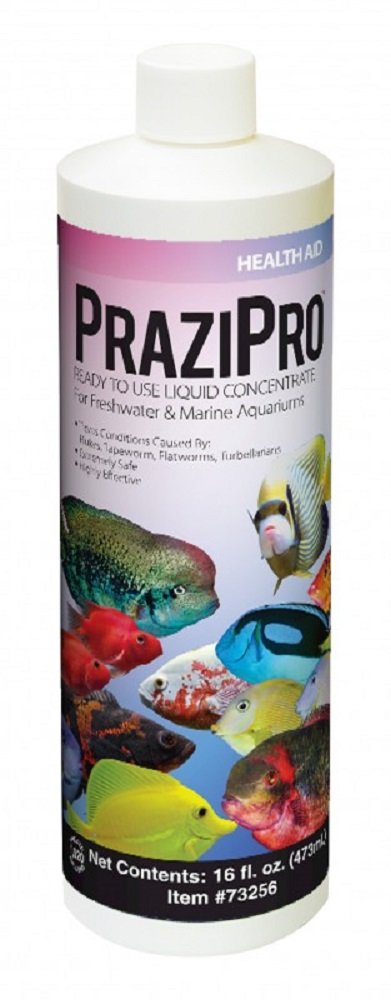 Hikari Prazipro 16oz - Plastic Water Treatment for Fish, Black, Model 042055732567