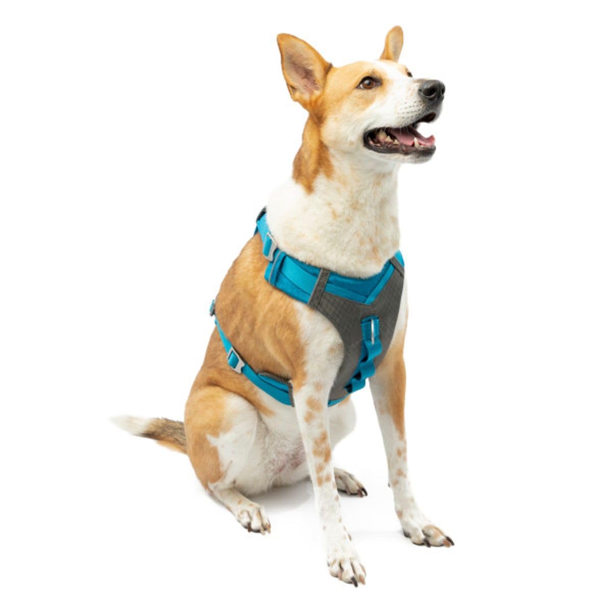 Kurgo Journey Air Dog Harness, Vest Harnesses For Dogs, Pet Hiking Harness For Running & Walking, Reflective, Padded, Includes Control Handle, No Pull Front Clip (Blue, X-Large)