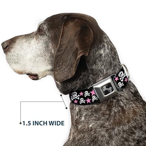Dog Collar Seatbelt Buckle Skulls Stars Black White Pink 9 To 15 Inches 1.0 Inch Wide