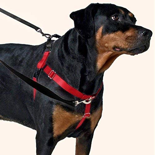 2 Hounds Design Freedom No-Pull Dog Harness Training Package, Large, Green