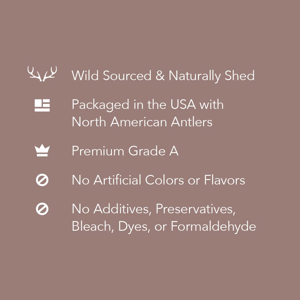 Amazon Brand - Wag Dog Deer Antler Chew, Naturally Shed, Whole, Large 8-9.5 inches, Long Lasting for Aggressive Chewers, Best fo