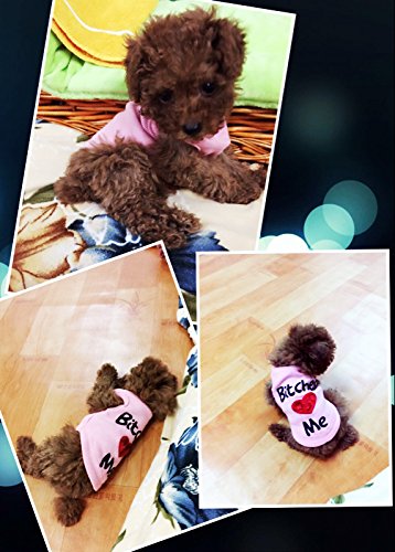 Droolingdog Small Dog Clothes Pink Dog Shirt Puppy Sweater Pet T-Shirt For Small Dogs, Xs, Pink