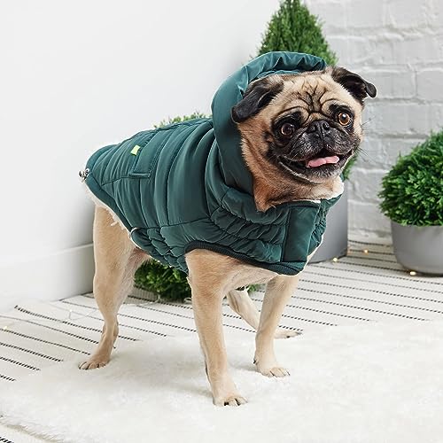 Gf Pet The Elasto-Fit Puff Parka - Ultra-Warm Insulated Dog Jacket For Dogs | Weather-Resistant | Stylish Winter Coat For Pets | Adjustable Fit Dog Outerwear - 3Xl, Teal