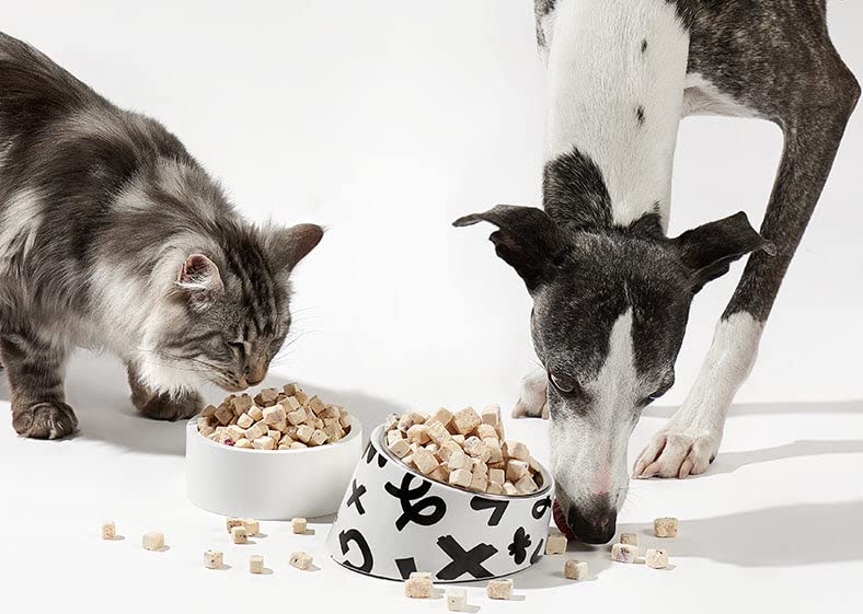 Arya Sit! - Freeze-Dried Single Ingredient Dog Treats (Duck Breast)