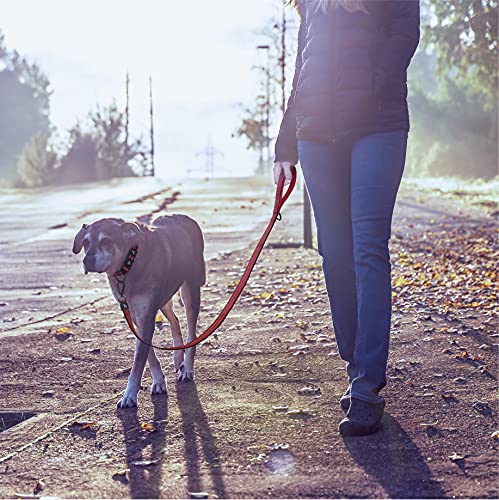 Kruz Pet Kzv5048-15L 4'' Long Reflective Heavy Duty Click Lock Hook Leash Strong, Secure Nylon Safety Lead With Locking Carabine