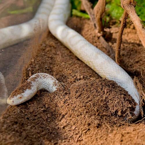 Galápagos (05008) Tropicoco® Coconut Soil Bedding - Premium Coconut Fiber Substrate For Reptile Tanks, Tortoise & Hermit Crab Habitats, 24 Qt, Natural