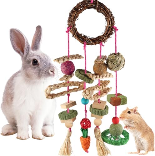 YIXUND Rabbit & Guinea Pig Toys - Hamster & Bunny Toys - Natural Timothy Hay & Apple Wood Sticks - Chinchilla Teeth Care - Handm