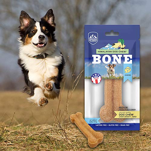 Himalayan Dog Chew Bone Medium