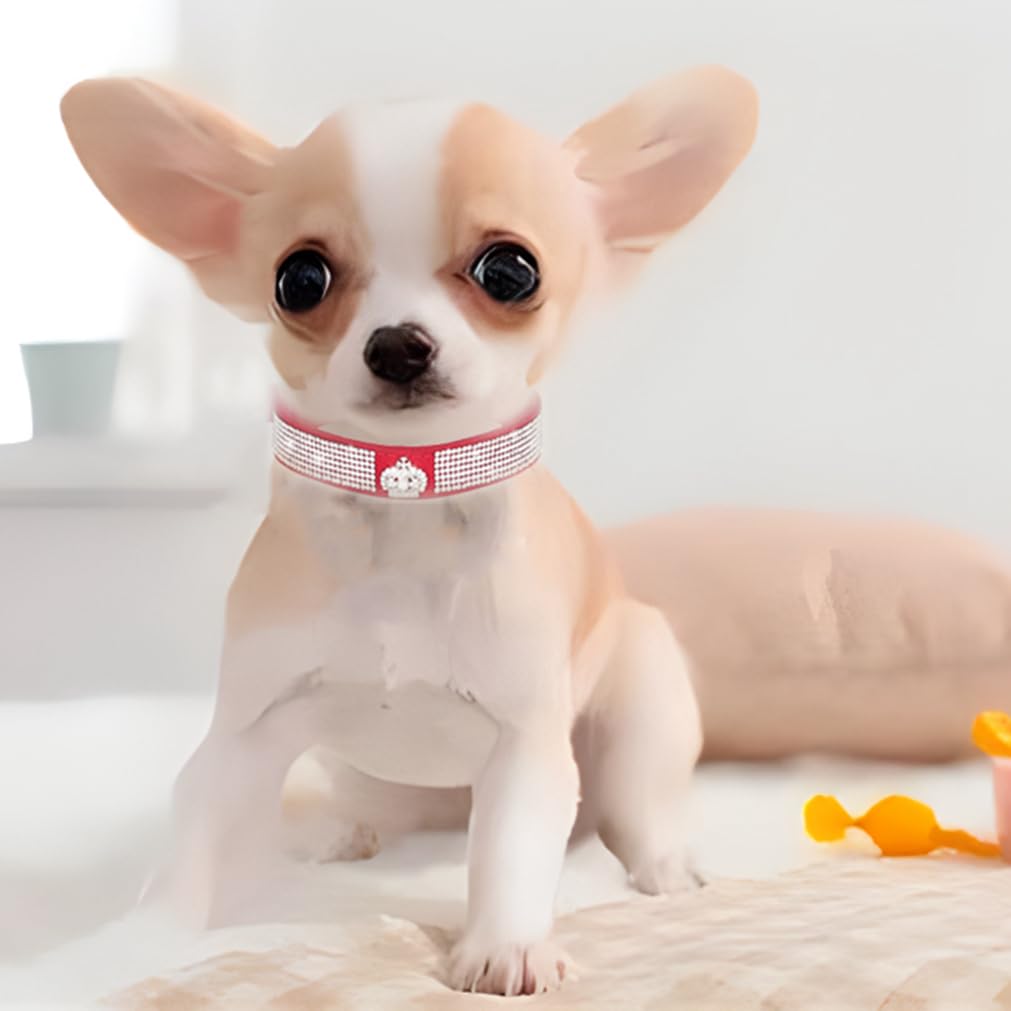 Red Rhinestone Large Dog Collar For Females, Diamond Dog Collar Girl Bling Pretty Jewel Glitter Sparkly Pet For Xxs Xs Small Med