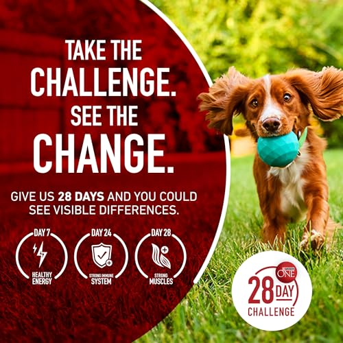 Purina One Plus Digestive Health Formula Dry Dog Food Natural with Added Vitamins, Minerals and Nutrients - 31.1 lb. Bag
