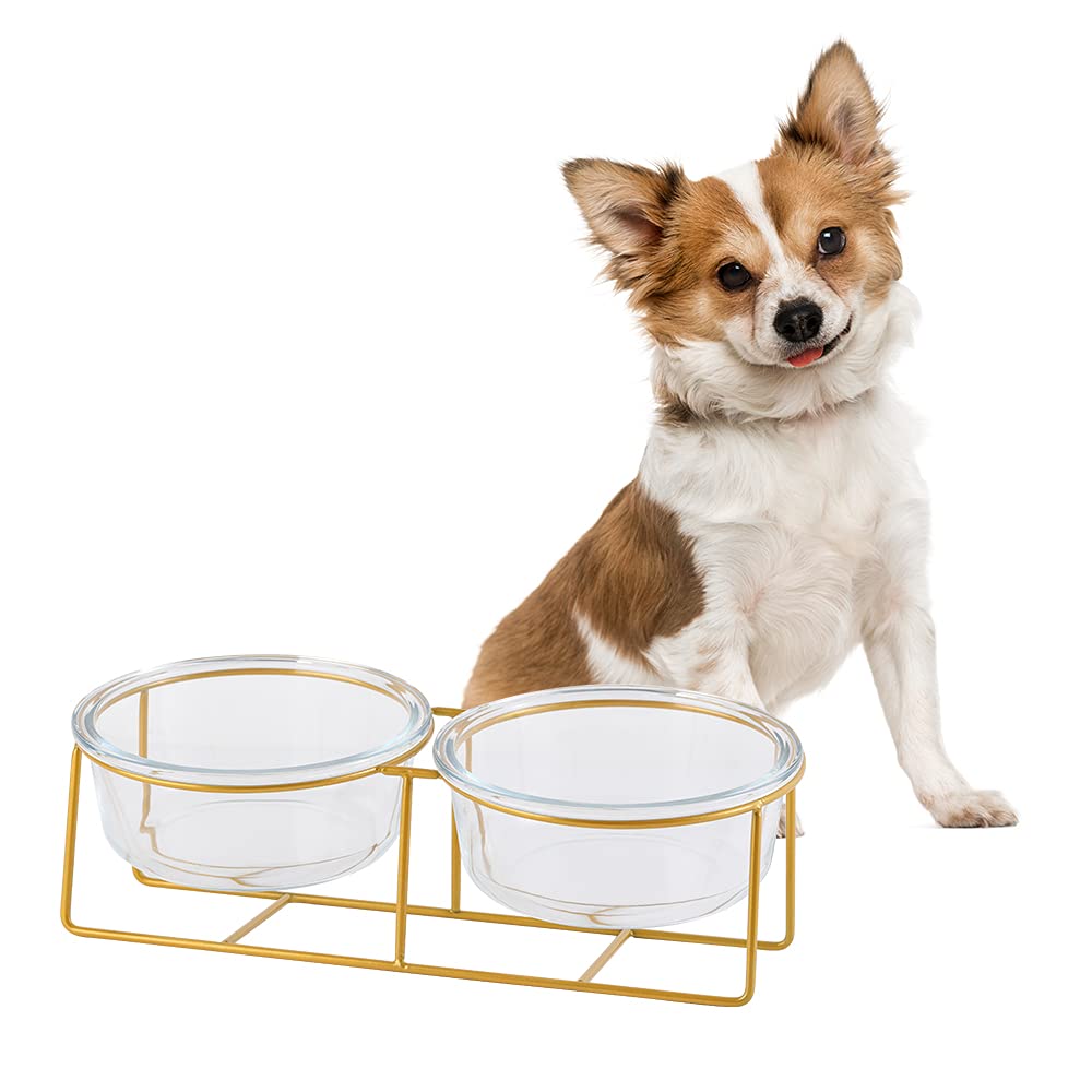 Small Double Elevated Dog Bowls - Raised Dog Bowl - Glass Dog Cat Bowl Set for Food and Water - Pet Comfort Feeding Bowls with G