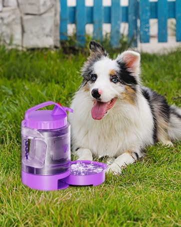 77oz Large Dog Water Bottle - Portable Travel Dog Water Dispenser & Bowl - Leak-Proof Pet Water Jug for Hiking, Camping, Walking